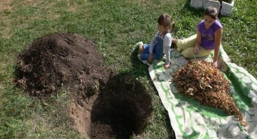 Jak a kdy je lepší přesadit třešně na jiné místo